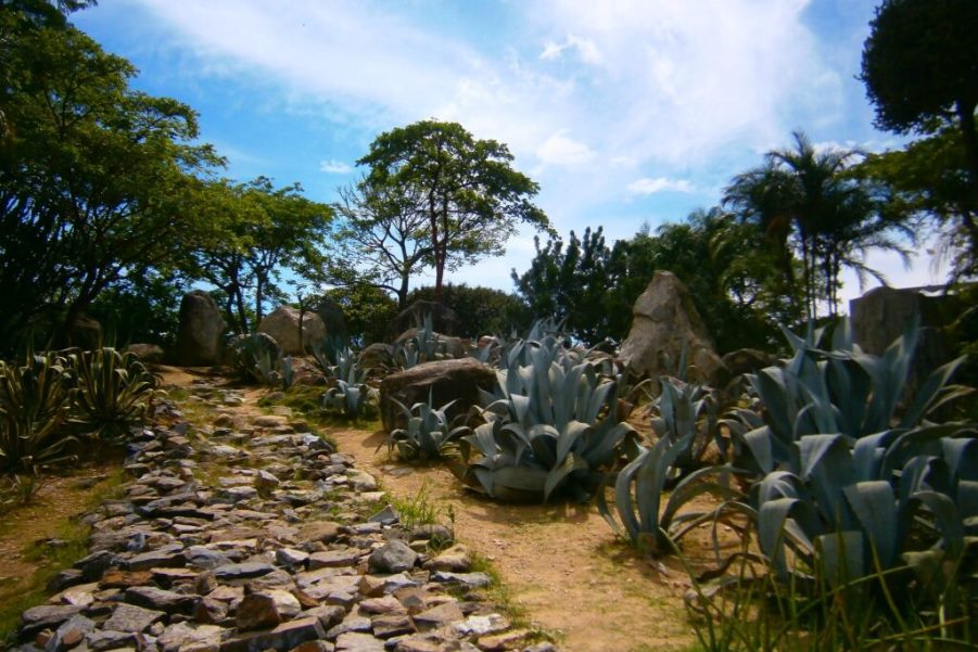 Parque Francisco de Miranda, más de seis décadas de esparcimiento y naturaleza