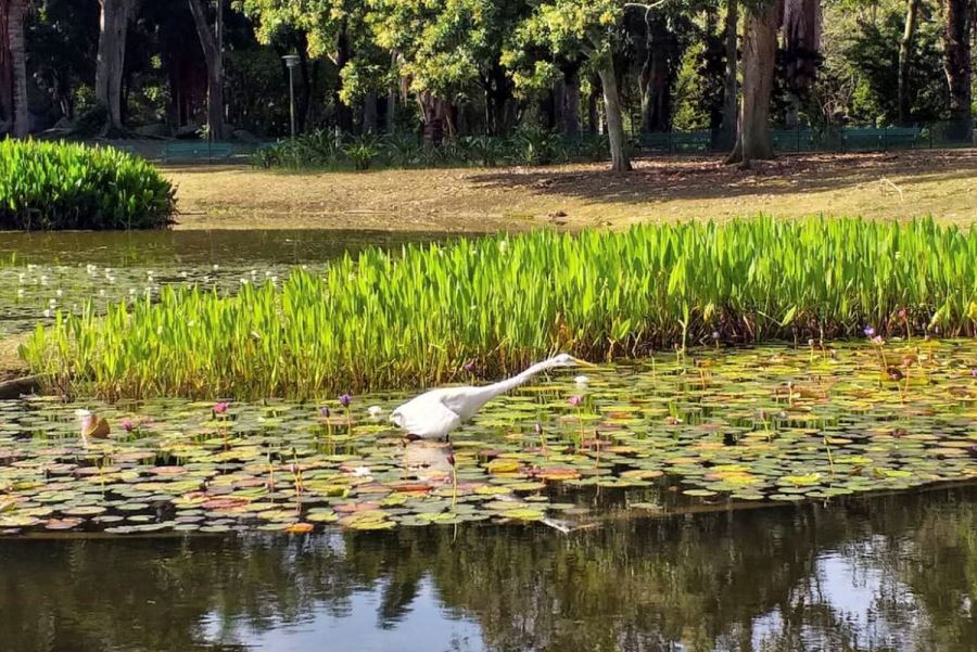 Parque Francisco de Miranda, más de seis décadas de esparcimiento y naturaleza
