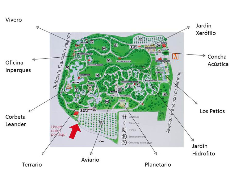 Parque Francisco de Miranda, más de seis décadas de esparcimiento y naturaleza