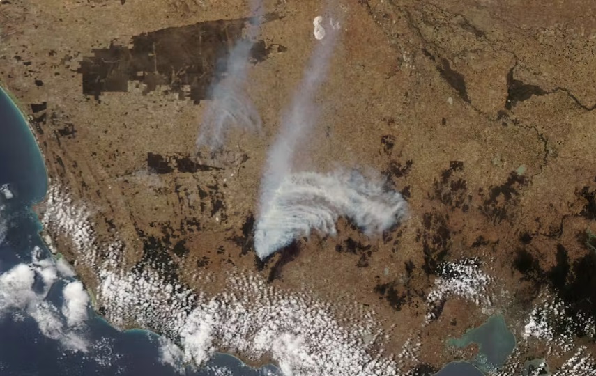Incendios forestales crean su propio clima y amenazan al planeta