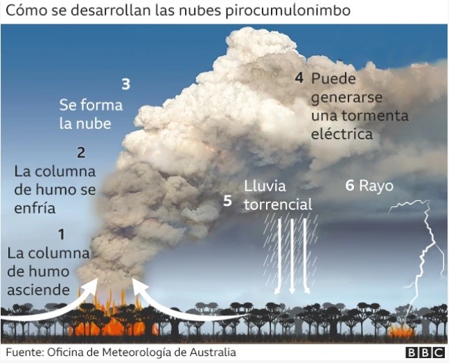 Incendios forestales crean su propio clima y amenazan al planeta