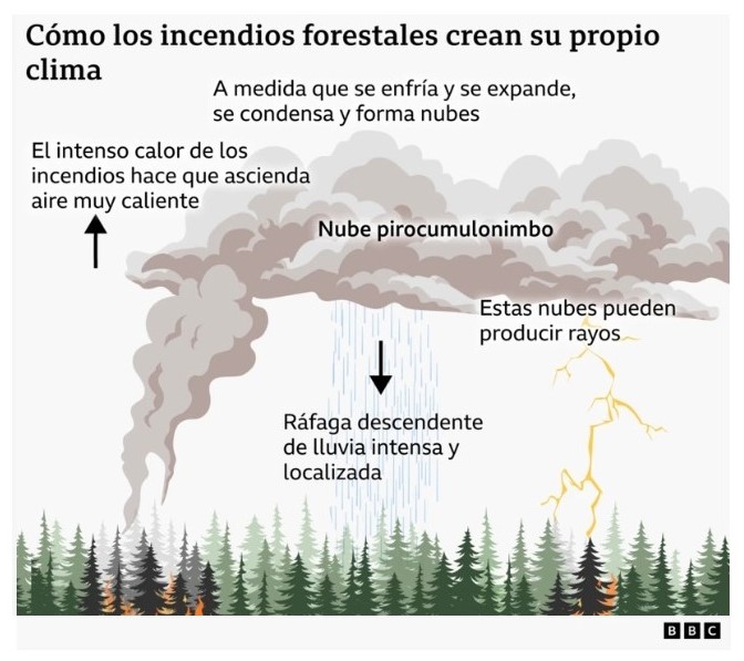 Incendios forestales crean su propio clima y amenazan al planeta