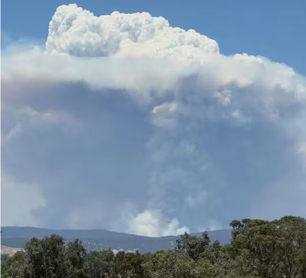 Incendios forestales crean su propio clima y amenazan al planeta