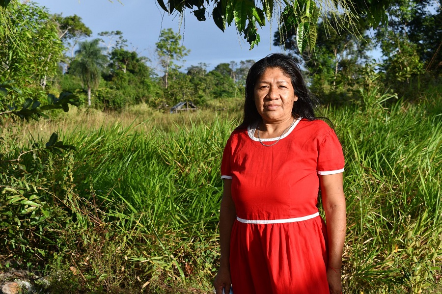 Mujeres kariña lideran el manejo sustentable de los bosques en Imataca