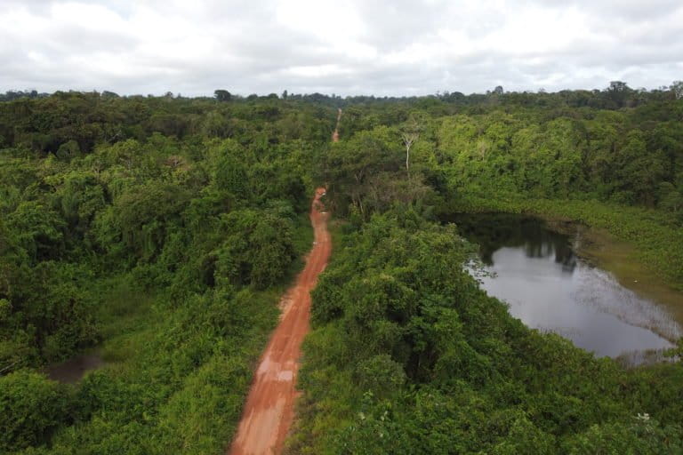 Mujeres kariña lideran el manejo sustentable de los bosques en Imataca