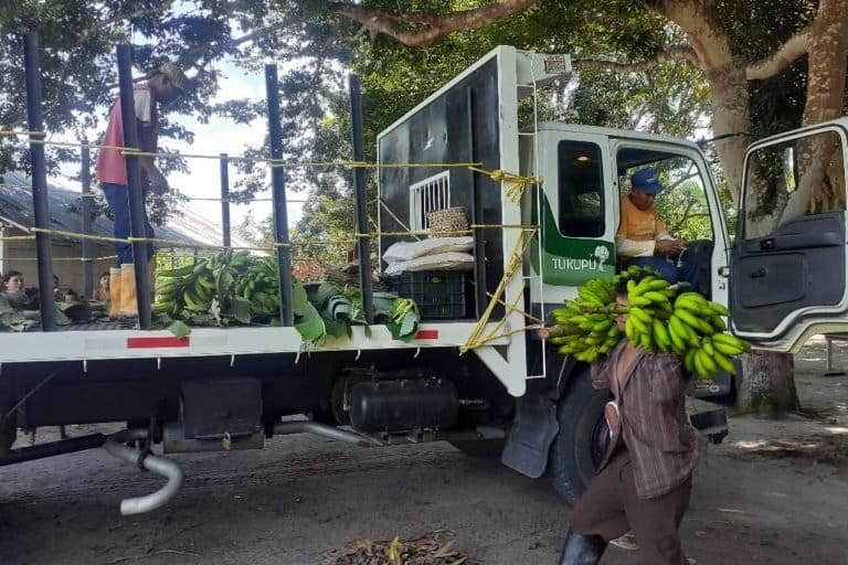 Mujeres kariña lideran el manejo sustentable de los bosques en Imataca
