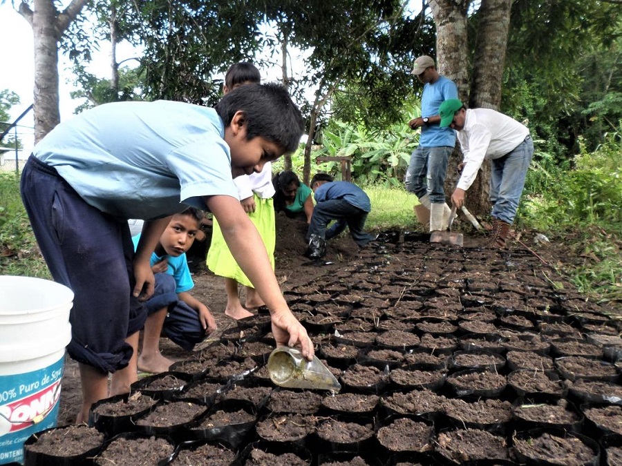 Mujeres kariña lideran el manejo sustentable de los bosques en Imataca
