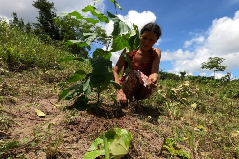 Mujeres kariña lideran el manejo sustentable de los bosques en Imataca