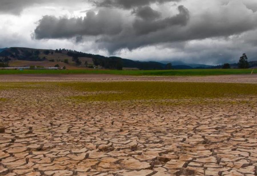 Aumento del 1,5 % de calentamiento global es inevitable ¿podremos revertirlo?