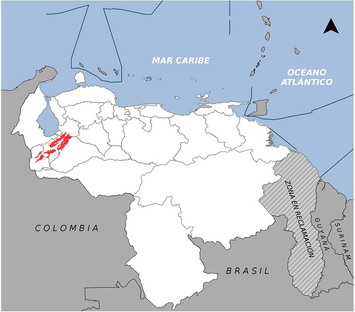 Las cuatro especies de musarañas endémicas de Venezuela y el desafío de su protección